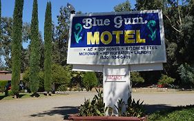 Blue Gum Motel Willows Ca